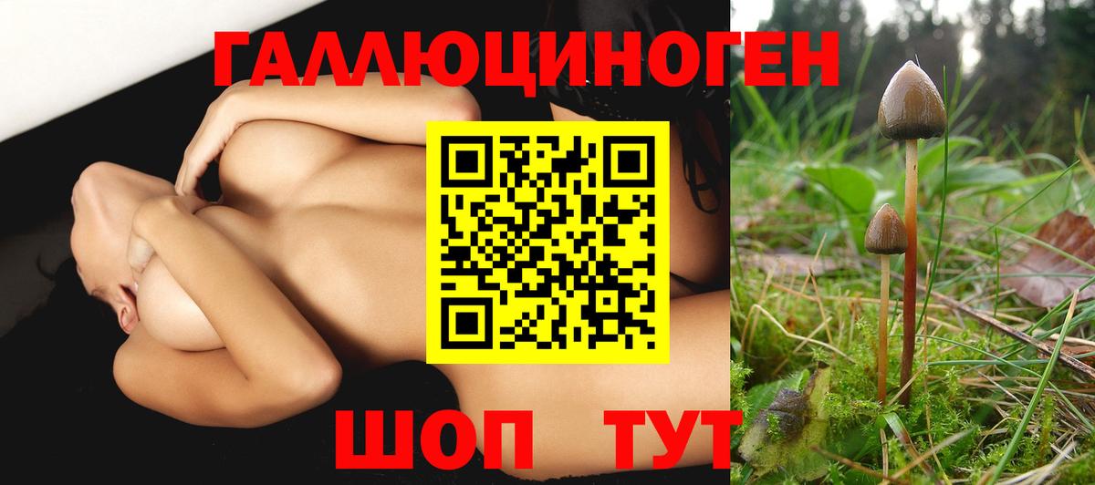 Псилоцибиновые грибы прущие грибы Новодвинск
