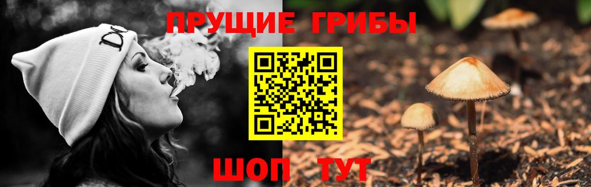 Новодвинск  Галлюциногенные грибы мицелий  Вход с VPN 